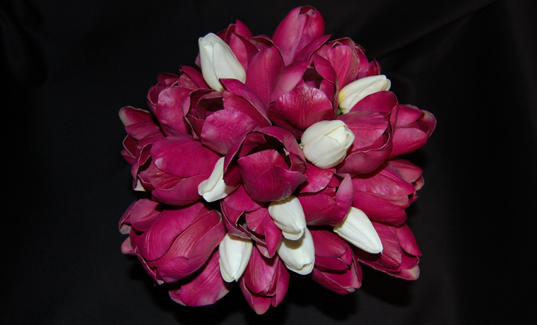 Mixed Tulip Bridal Bouquet 2 dozen 